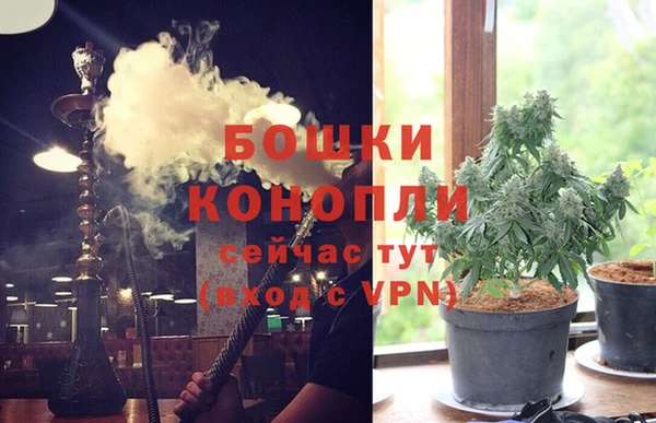 ПСИЛОЦИБИНОВЫЕ ГРИБЫ Бородино