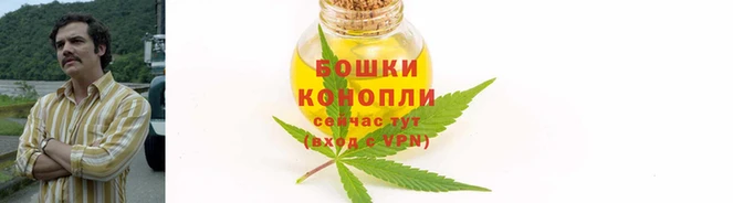 ПСИЛОЦИБИНОВЫЕ ГРИБЫ Бородино