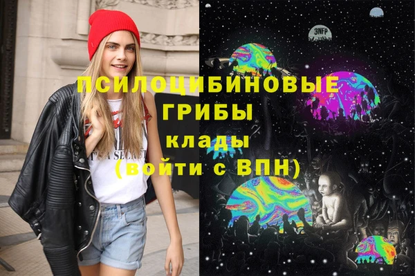 ПСИЛОЦИБИНОВЫЕ ГРИБЫ Бородино