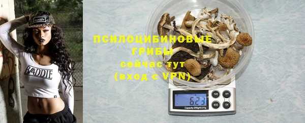 мяу мяу мука Бугульма