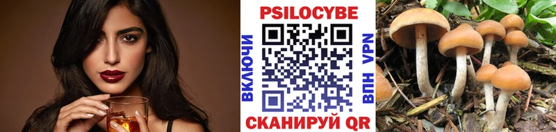 Галлюциногенные грибы Cubensis  Купить где  Киселёвск 